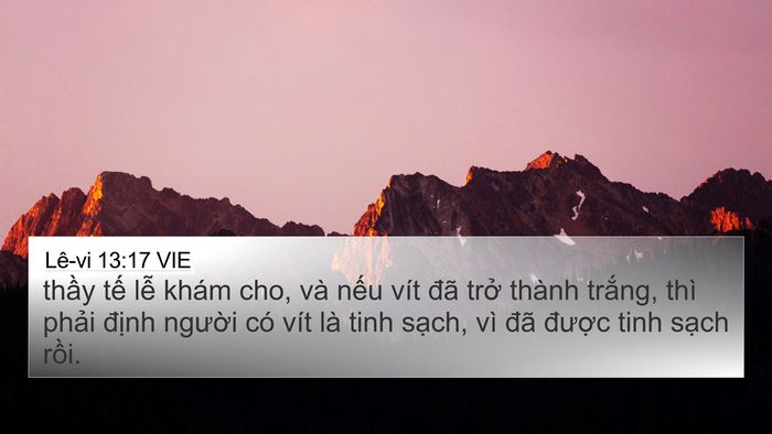 Lê-vi 13:17 VIE 4K Wallpaper - thầy tế lễ khám cho, và nếu vít đã - 4K Wallpaper Bible Verse