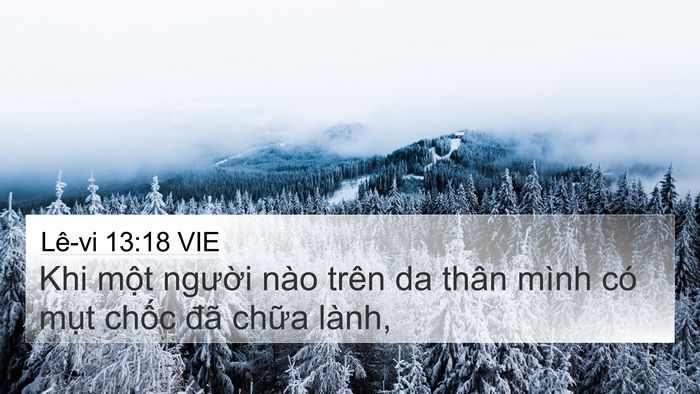 Lê-vi 13:18 VIE 4K Wallpaper - Khi một người nào trên da thân mình có - 4K Wallpaper Bible Verse