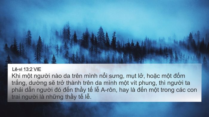 Lê-vi 13:2 VIE Bible Verse Image