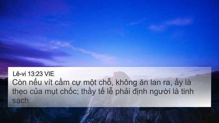 Lê-vi 13:23 VIE Bible Verse Image