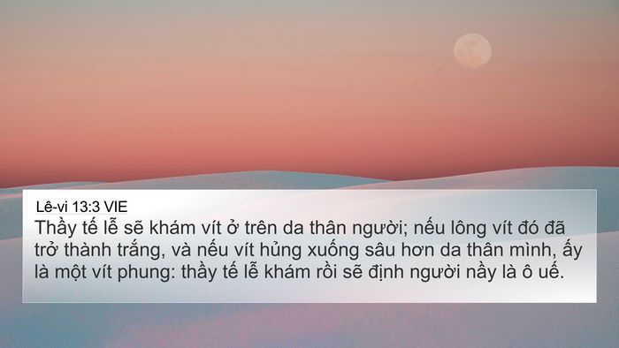 Lê-vi 13:3 VIE 4K Wallpaper - Thầy tế lễ sẽ khám vít ở trên da - 4K Wallpaper Bible Verse