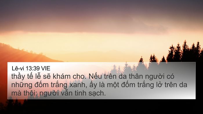 Lê-vi 13:39 VIE 4K Wallpaper - thầy tế lễ sẽ khám cho. Nếu trên da - 4K Wallpaper Bible Verse