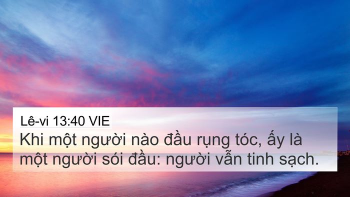 Lê-vi 13:40 VIE 4K Wallpaper - Khi một người nào đầu rụng tóc, ấy - 4K Wallpaper Bible Verse