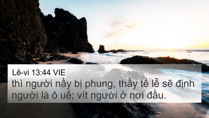 Lê-vi 13:44 VIE Bible Verse Image