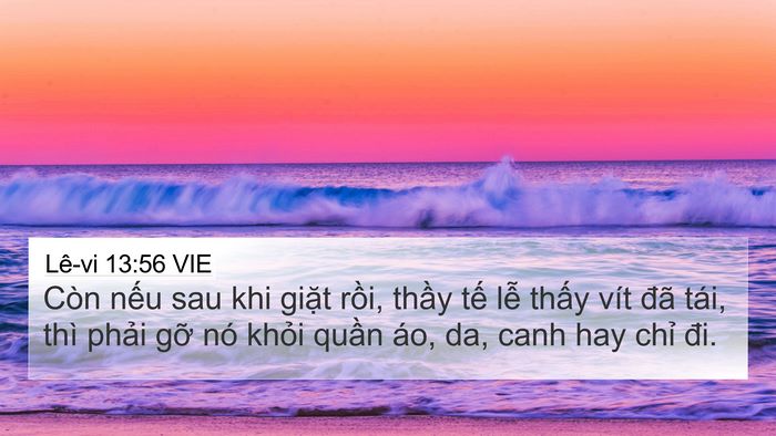 Lê-vi 13:56 VIE 4K Wallpaper - Còn nếu sau khi giặt rồi, thầy tế lễ - 4K Wallpaper Bible Verse
