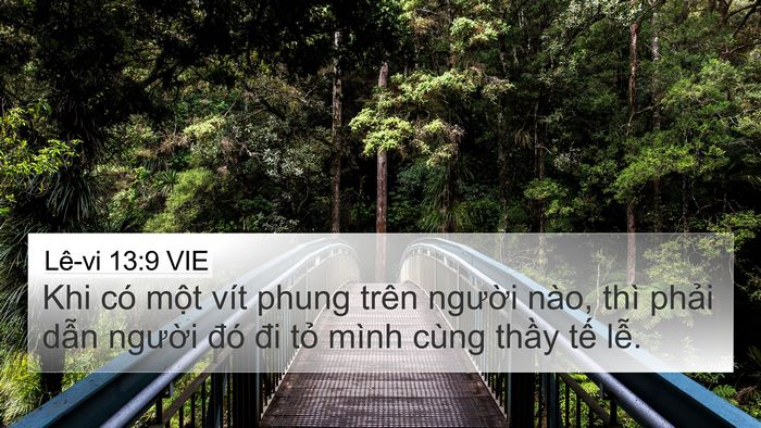 Lê-vi 13:9 VIE 4K Wallpaper - Khi có một vít phung trên người nào, - 4K Wallpaper Bible Verse