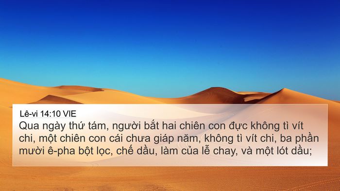 Lê-vi 14:10 VIE Bible Verse Image