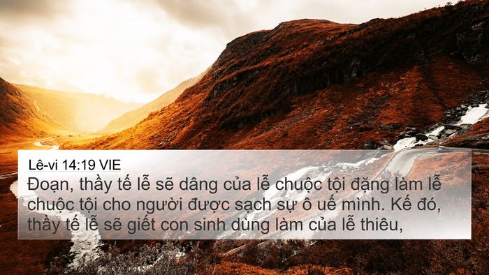 Lê-vi 14:19 VIE Bible Verse Image