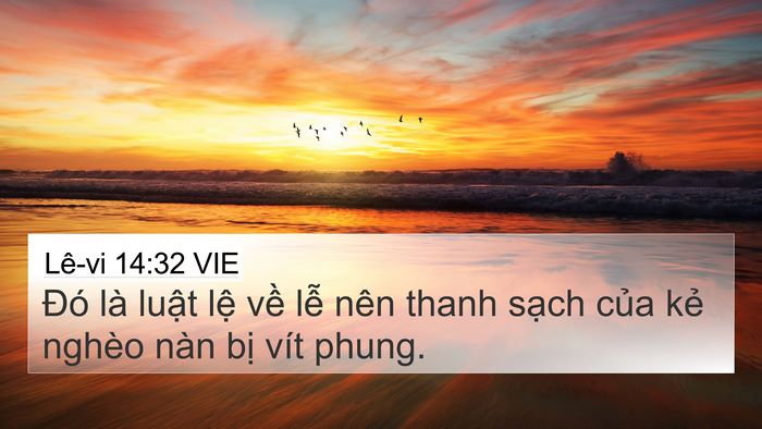 Lê-vi 14:32 VIE 4K Wallpaper - Đó là luật lệ về lễ nên thanh sạch - 4K Wallpaper Bible Verse