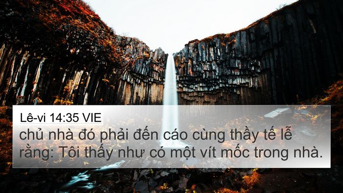 Lê-vi 14:35 VIE 4K Wallpaper - chủ nhà đó phải đến cáo cùng thầy - 4K Wallpaper Bible Verse