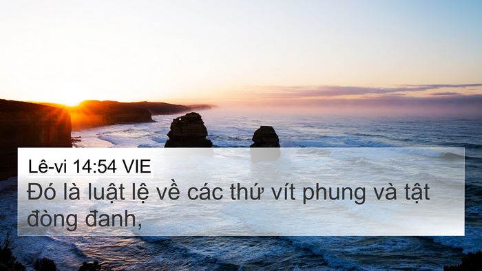 Lê-vi 14:54 VIE Bible Verse Image