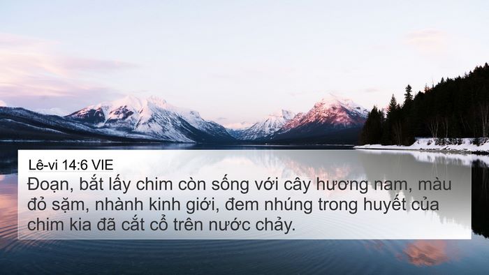 Lê-vi 14:6 VIE Bible Verse Image