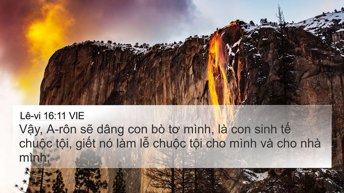 Lê-vi 16:11 VIE Bible Verse Image