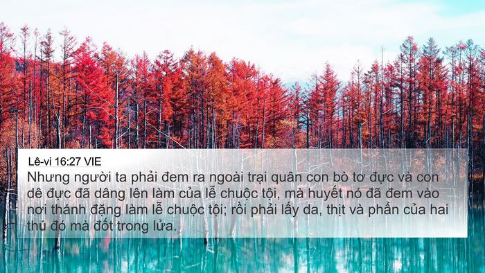 Lê-vi 16:27 VIE Bible Verse Image