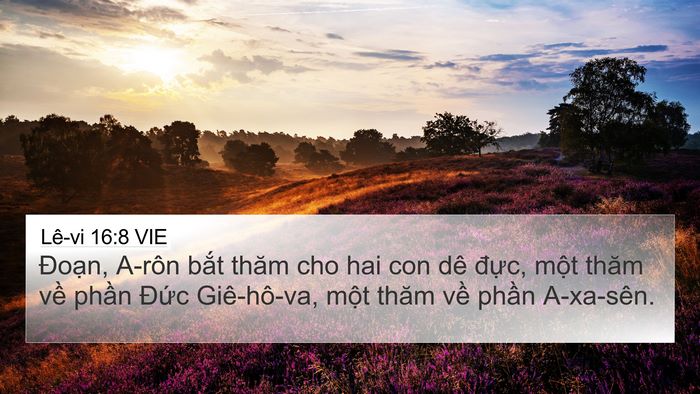 Lê-vi 16:8 VIE Bible Verse Image