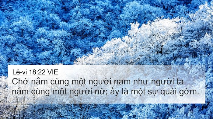 Lê-vi 18:22 VIE Bible Verse Image