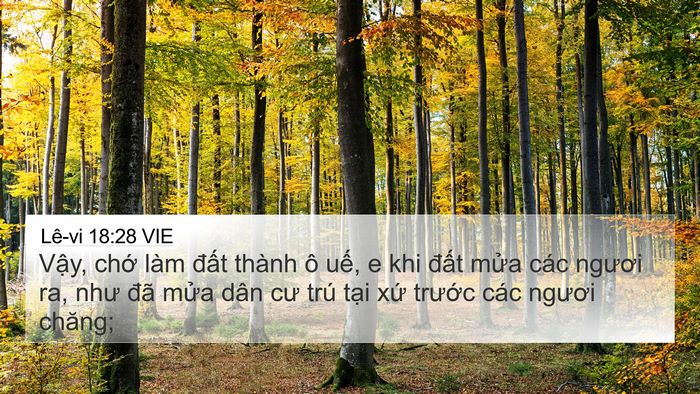 Lê-vi 18:28 VIE Bible Verse Image