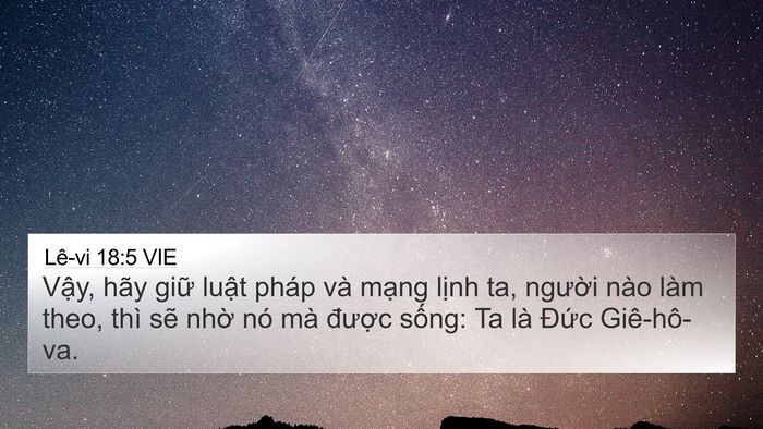 Lê-vi 18:5 VIE Bible Verse Image