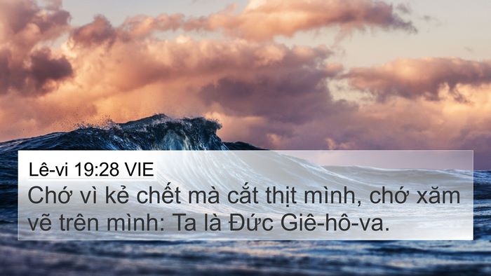 Lê-vi 19:28 VIE Bible Verse Image