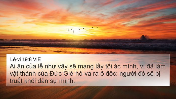 Lê-vi 19:8 VIE Bible Verse Image