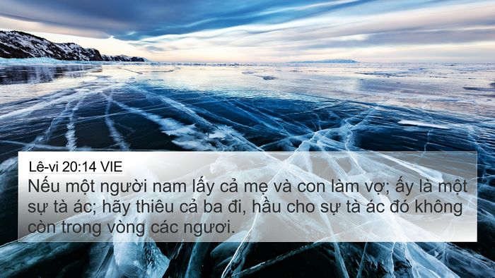 Lê-vi 20:14 VIE Bible Verse Image