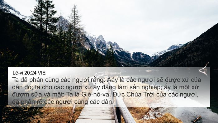 Lê-vi 20:24 VIE Bible Verse Image