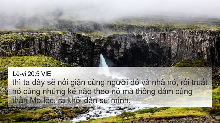 Lê-vi 20:5 VIE Bible Verse Image