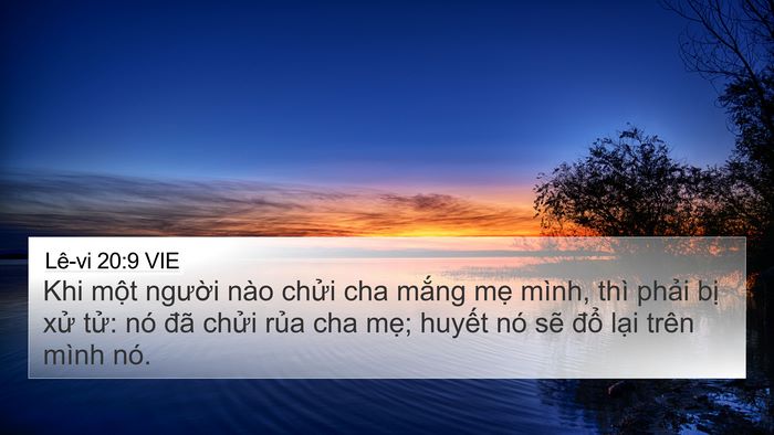 Lê-vi 20:9 VIE Bible Verse Image