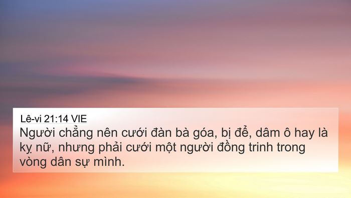 Lê-vi 21:14 VIE Bible Verse Image