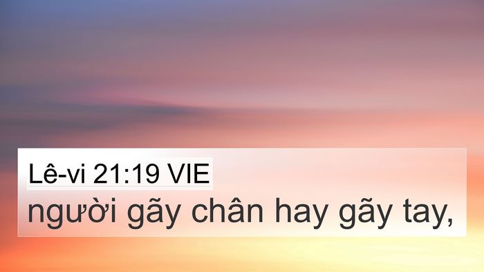 Lê-vi 21:19 VIE 4K Wallpaper - người gãy chân hay gãy - 4K Wallpaper Bible Verse