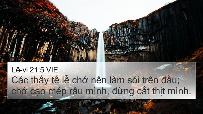 Lê-vi 21:5 VIE Bible Verse Image