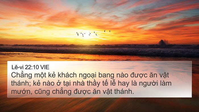 Lê-vi 22:10 VIE Bible Verse Image