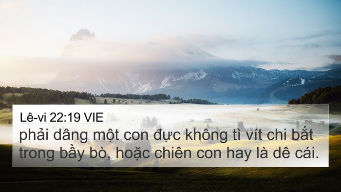 Lê-vi 22:19 VIE Bible Verse Image