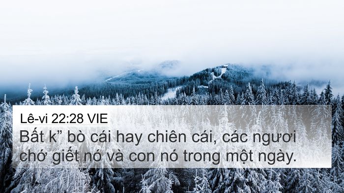 Lê-vi 22:28 VIE Bible Verse Image