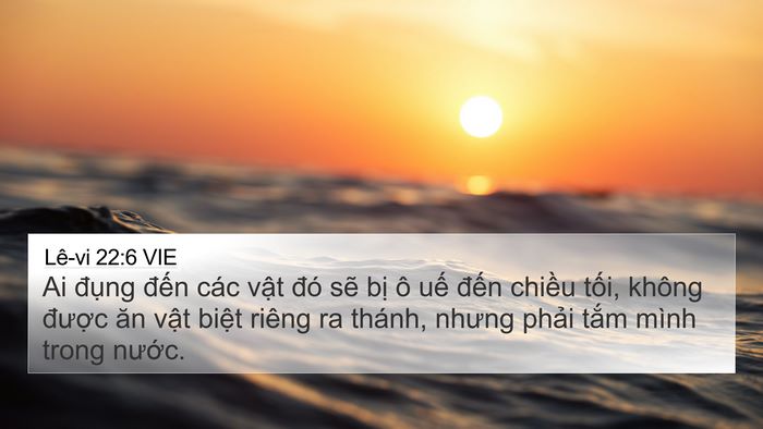 Lê-vi 22:6 VIE Bible Verse Image