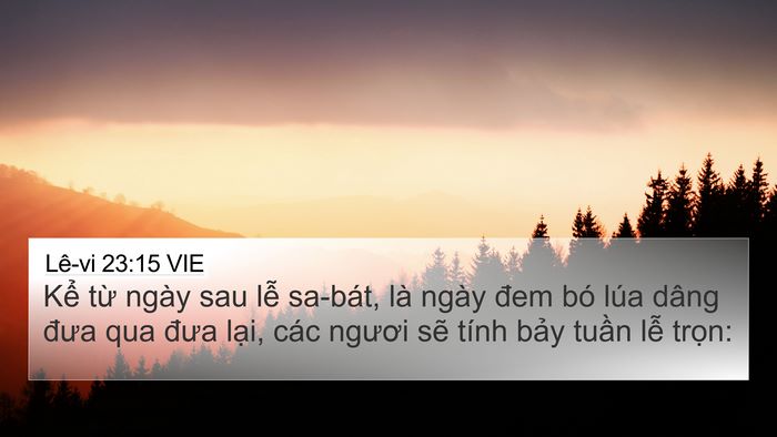 Lê-vi 23:15 VIE Bible Verse Image