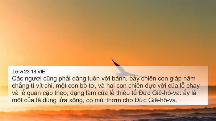 Lê-vi 23:18 VIE 4K Wallpaper - Các ngươi cũng phải dâng luôn với - 4K Wallpaper Bible Verse