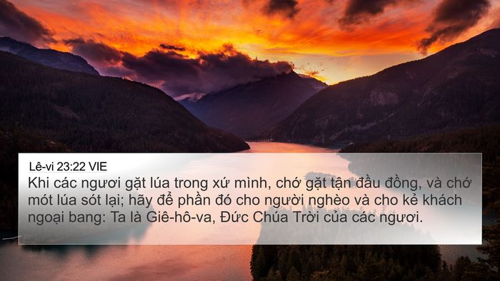 Lê-vi 23:22 VIE Bible Verse Image