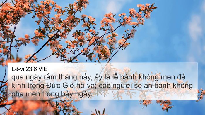 Lê-vi 23:6 VIE Bible Verse Image