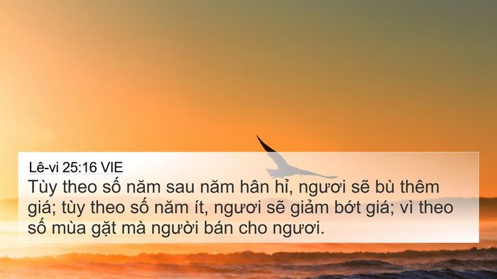 Lê-vi 25:16 VIE 4K Wallpaper - Tùy theo số năm sau năm hân hỉ, ngươi - 4K Wallpaper Bible Verse