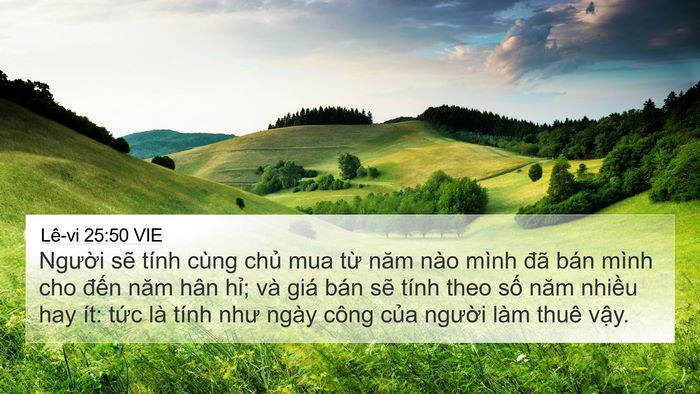 Lê-vi 25:50 VIE Bible Verse Image