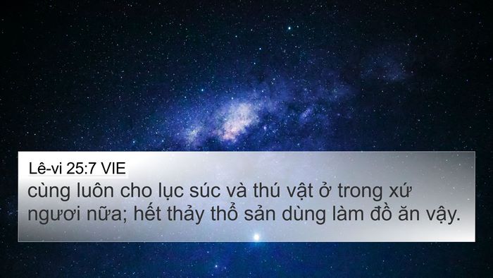 Lê-vi 25:7 VIE 4K Wallpaper - cùng luôn cho lục súc và thú vật ở - 4K Wallpaper Bible Verse
