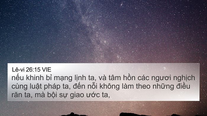 Lê-vi 26:15 VIE Bible Verse Image