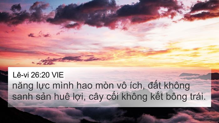 Lê-vi 26:20 VIE Bible Verse Image