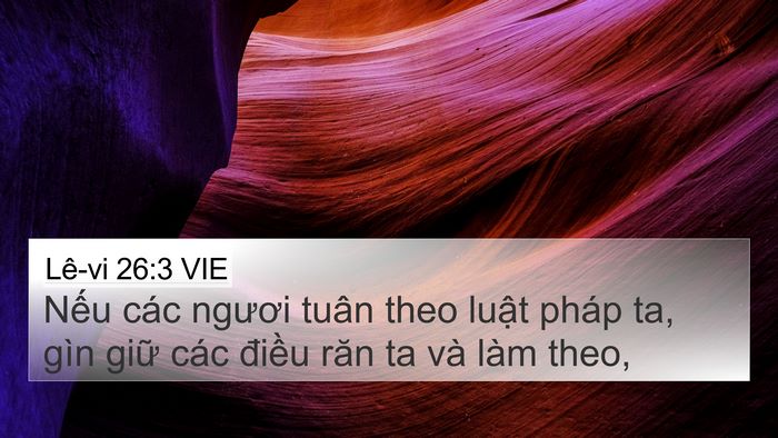 Lê-vi 26:3 VIE Bible Verse Image