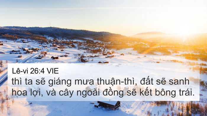Lê-vi 26:4 VIE Bible Verse Image