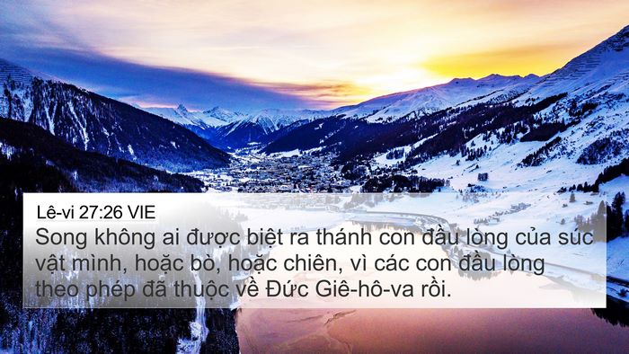 Lê-vi 27:26 VIE Bible Verse Image