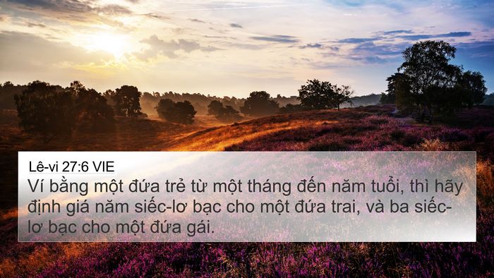 Lê-vi 27:6 VIE Bible Verse Image