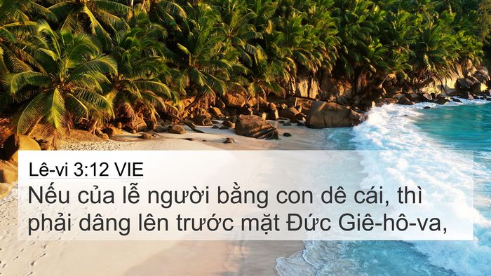 Lê-vi 3:12 VIE 4K Wallpaper - Nếu của lễ người bằng con dê cái, - 4K Wallpaper Bible Verse
