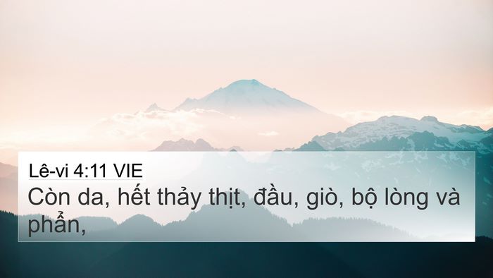 Lê-vi 4:11 VIE Bible Verse Image